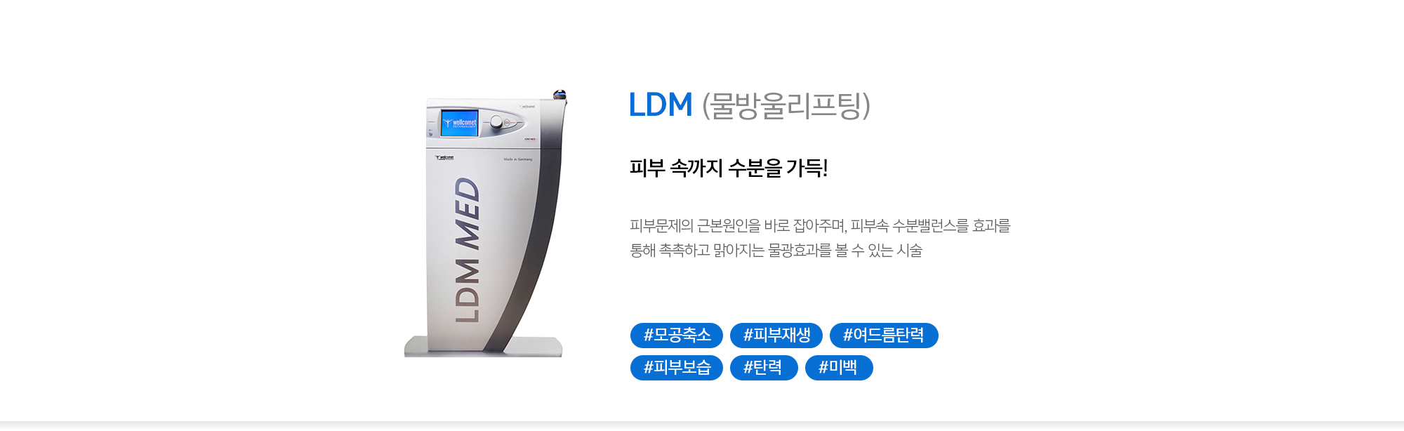 LDM