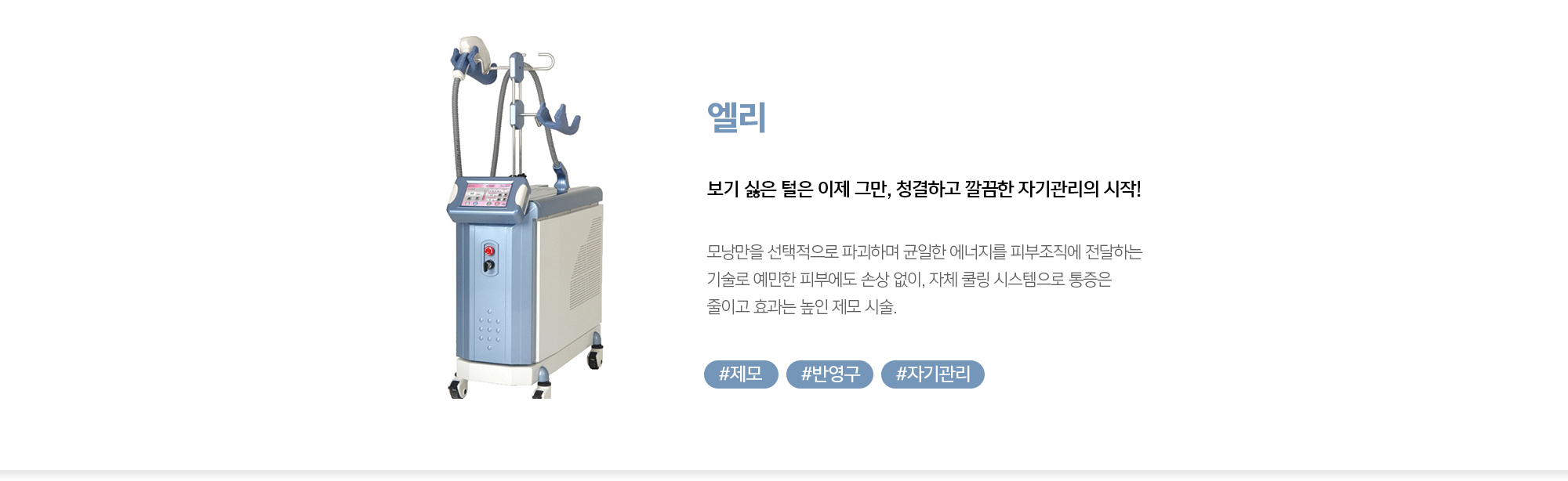 엘리